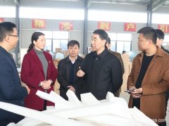 Henan Vice-governor Wang Tie Come Here To Inspect Enworld Melamine Sponge Manufacturer